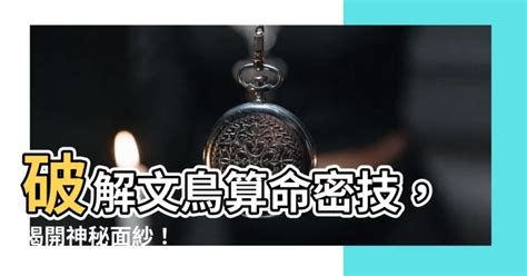 龜鳥卦破解|《神秘52區》深夜中尋求解答 「龜鳥」透玄機 ...